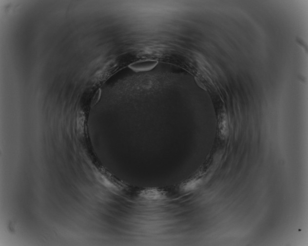 X0000093760231200710161229