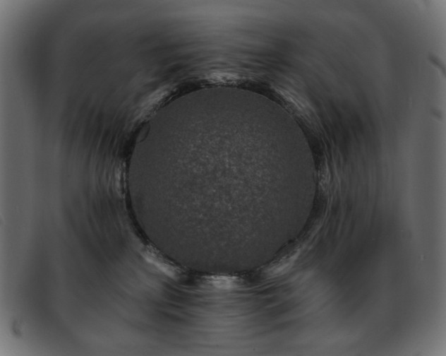 X0000093760233200710161229