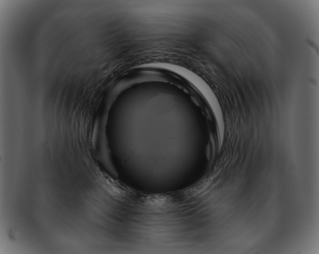 X0000093760235200710161229