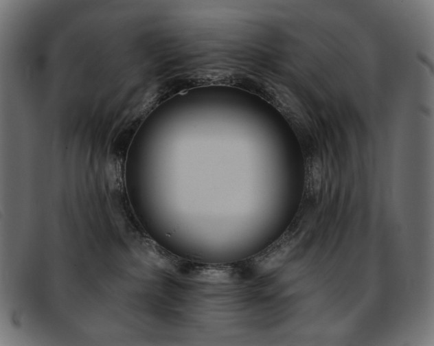 X0000093760236200710161228