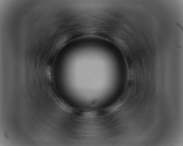 X0000093760238200710161228