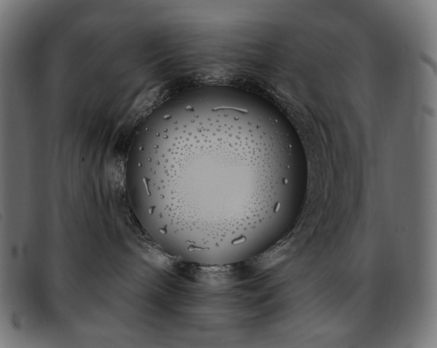 X0000093760240200710161228