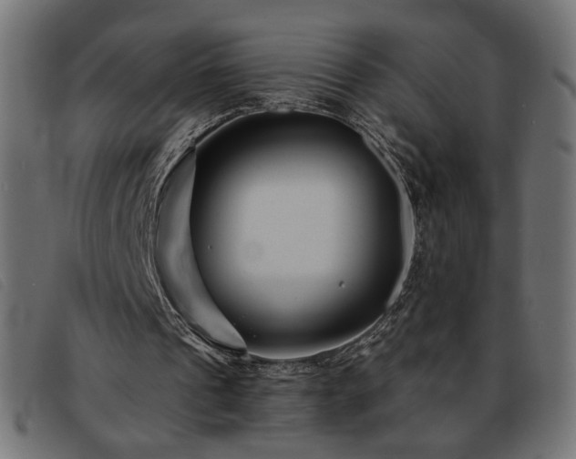 X0000093760241200710161228