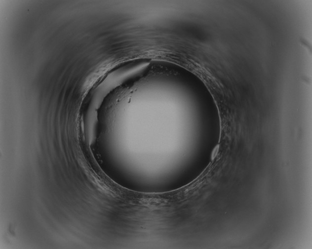 X0000093760242200710161228