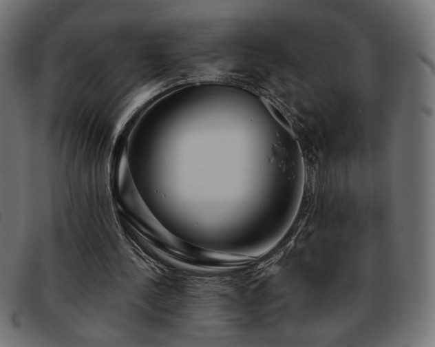 X0000093760244200710161228