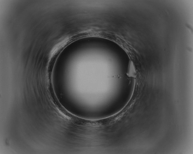 X0000093760245200710161228
