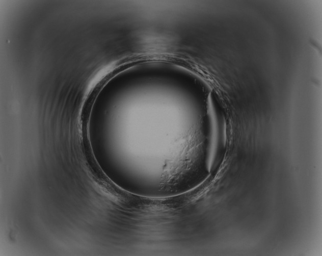 X0000093760246200710161228