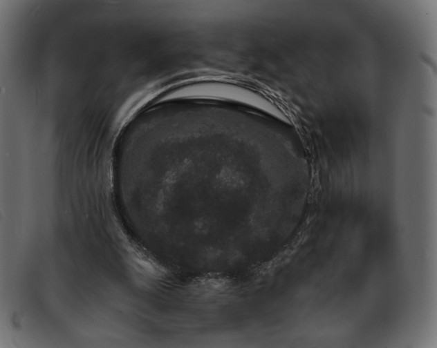 X0000093760247200710161228
