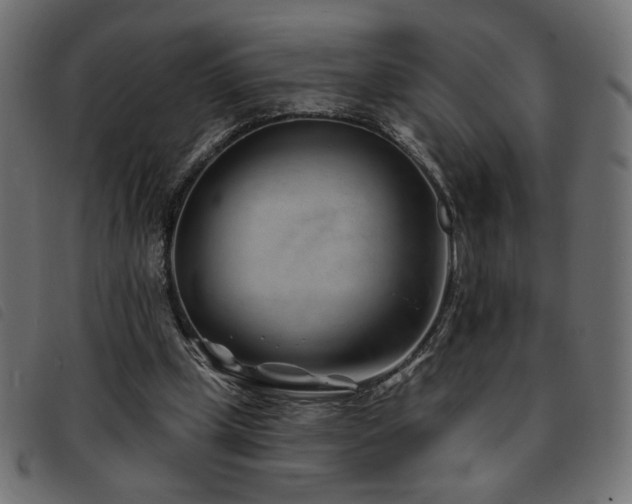 X0000093760249200710161228