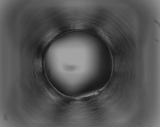 X0000093760251200710161228