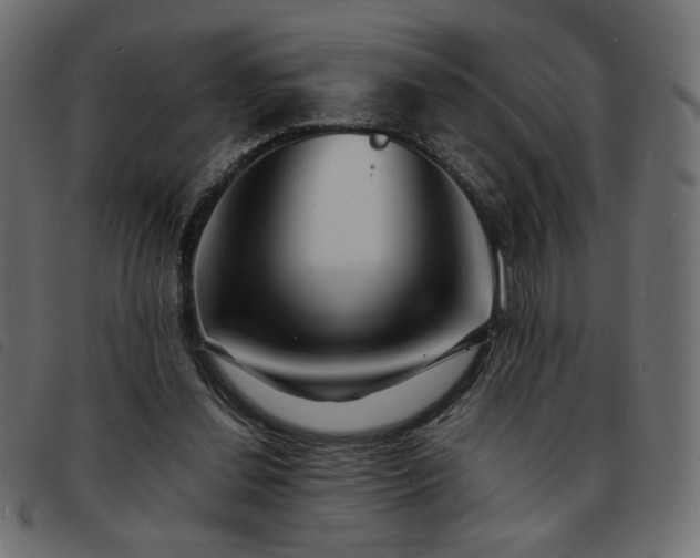 X0000093760252200710161228