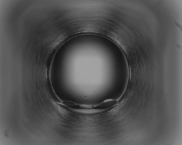 X0000093760253200710161228