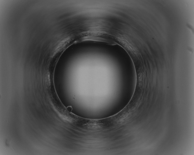 X0000093760254200710161228