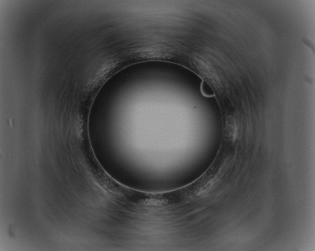 X0000093760255200710161228
