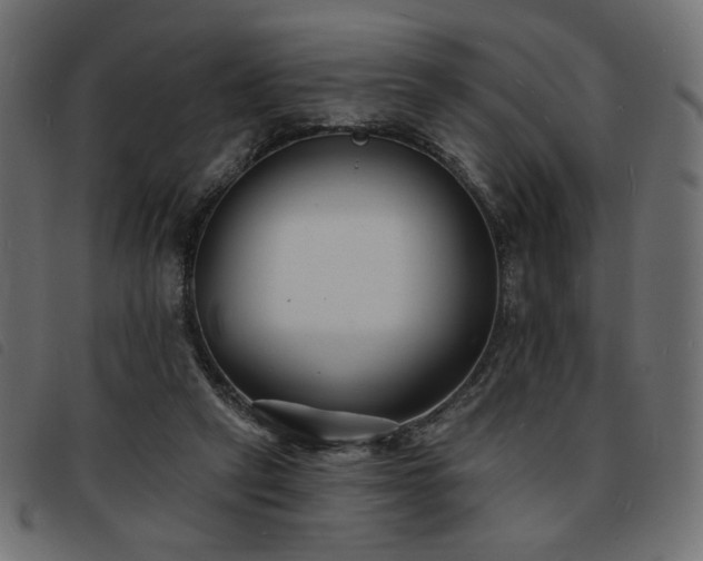 X0000093760257200710161228