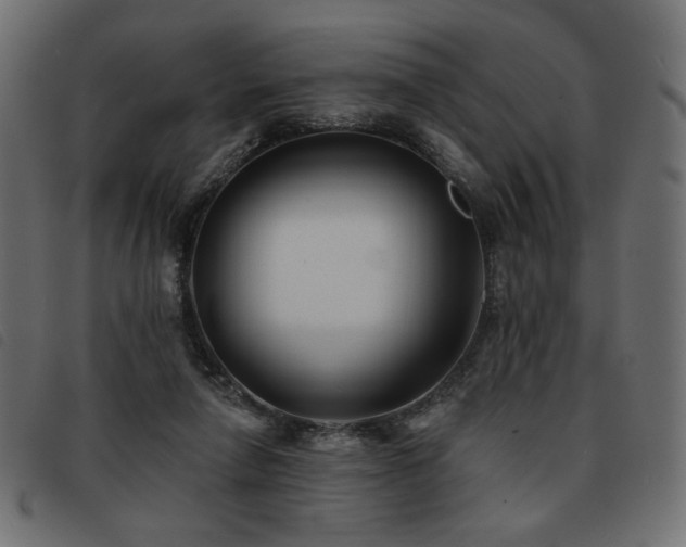 X0000093760258200710161228