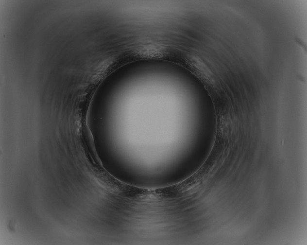 X0000093760259200710161228