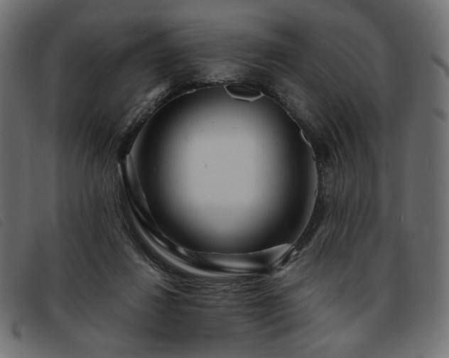 X0000093760260200710161228
