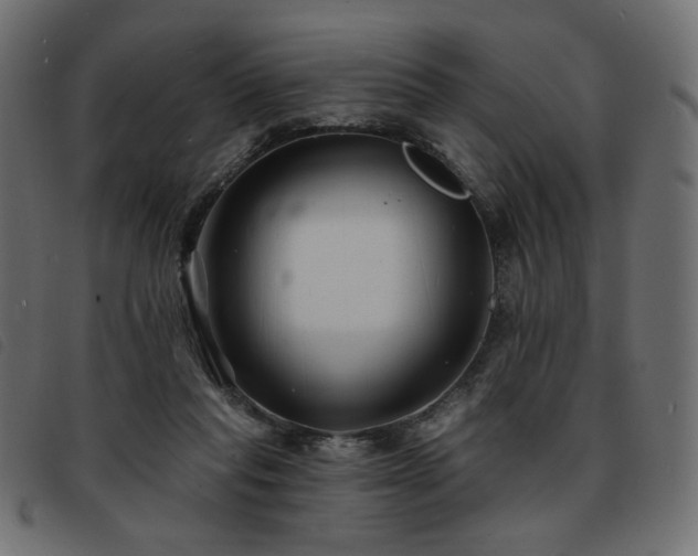X0000093760261200710161228