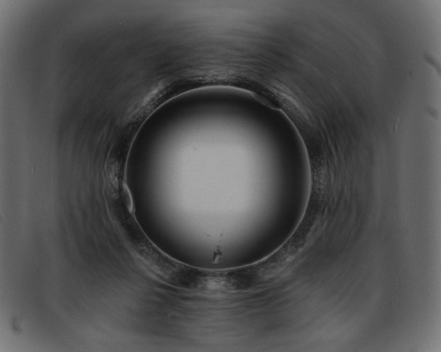 X0000093760264200710161228