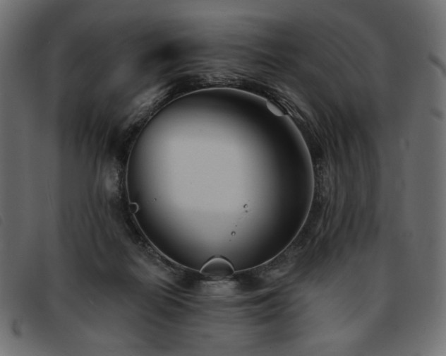 X0000093760266200710161228