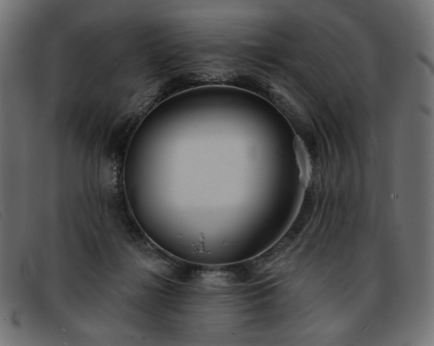 X0000093760268200710161228