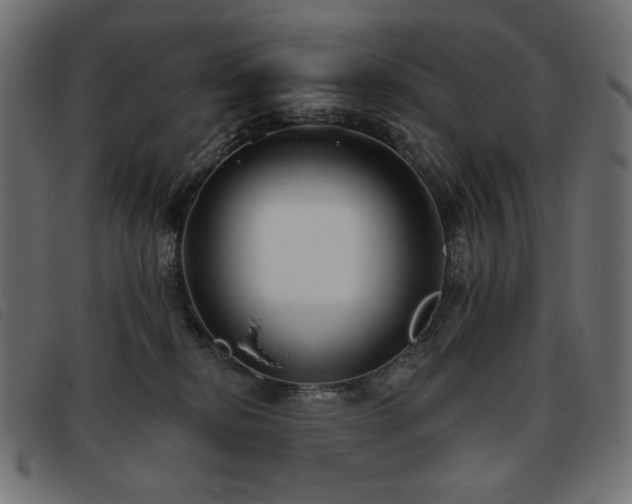 X0000093760278200710161228