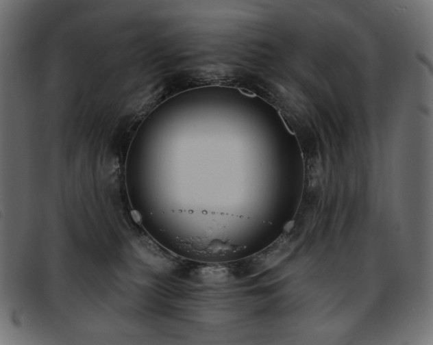X0000093760279200710161228
