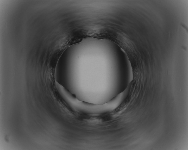 X0000093760280200710161228