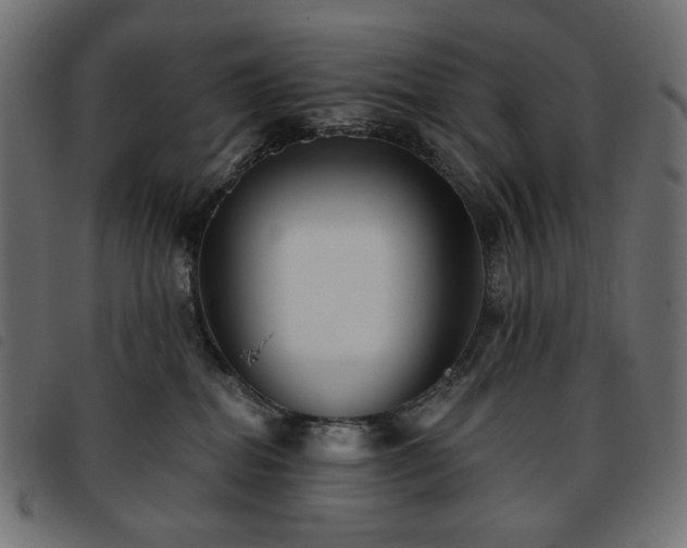 X0000093760282200710161228