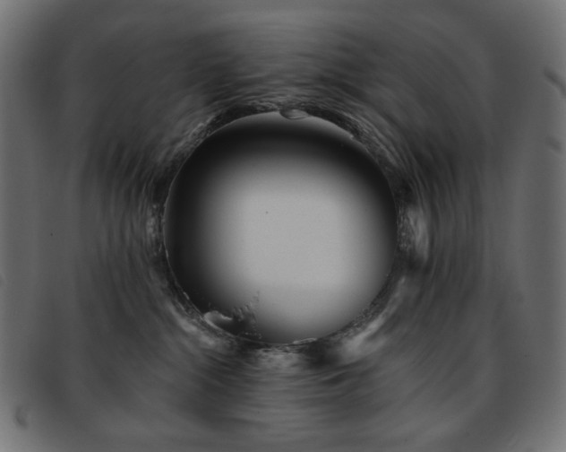 X0000093760284200710161228