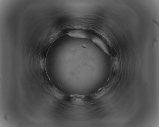 X0000093760285200710161228