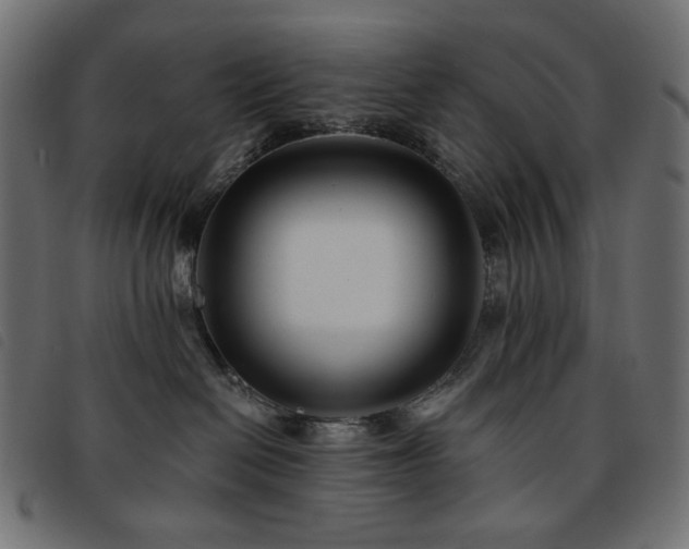 X0000093760286200710161228