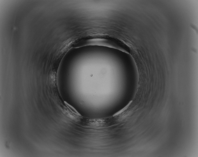 X0000093760288200710161228