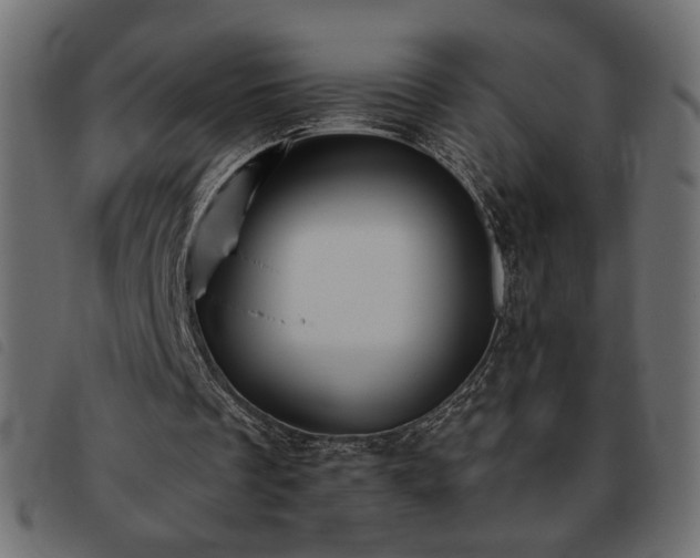 X0000093760289200710161228