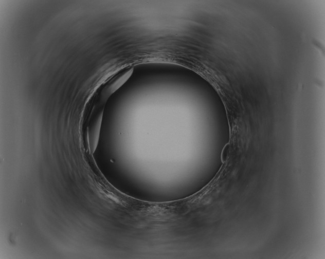 X0000093760290200710161228