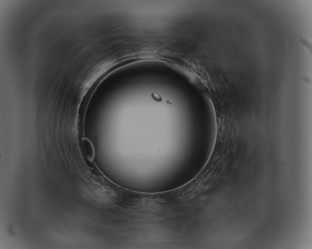 X0000093760292200710161228