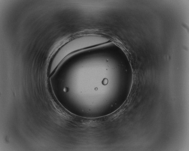 X0000093760293200710161228