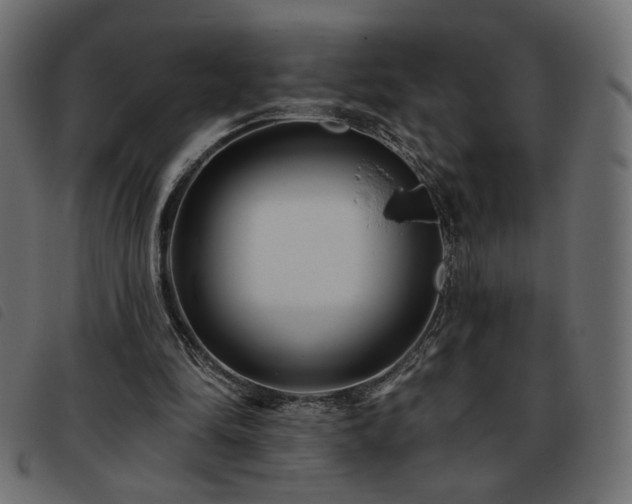 X0000093760294200710161228