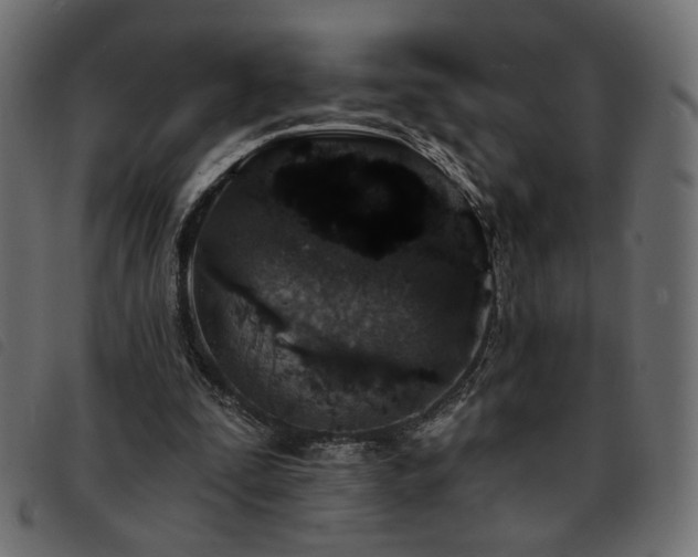 X0000093760295200710161228
