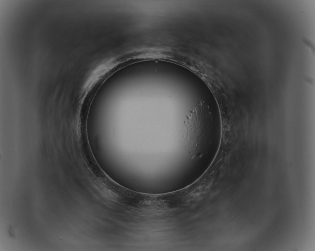 X0000093760296200710161228