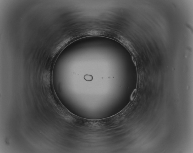 X0000093760297200710161228