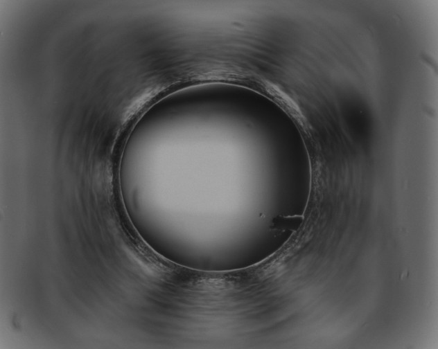 X0000093760298200710161228