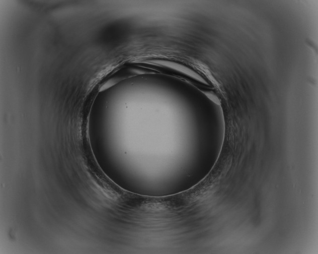 X0000093760299200710161228