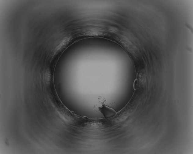 X0000093760304200710161228
