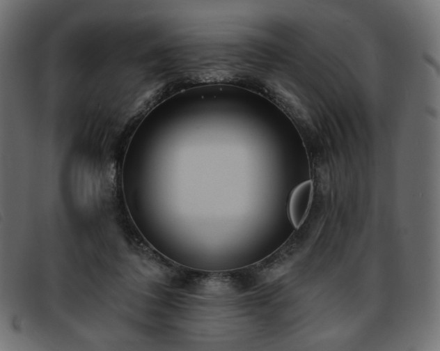 X0000093760308200710161228