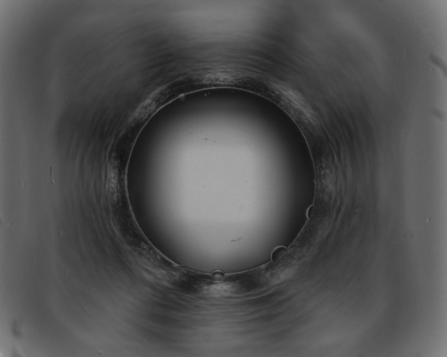 X0000093760312200710161228