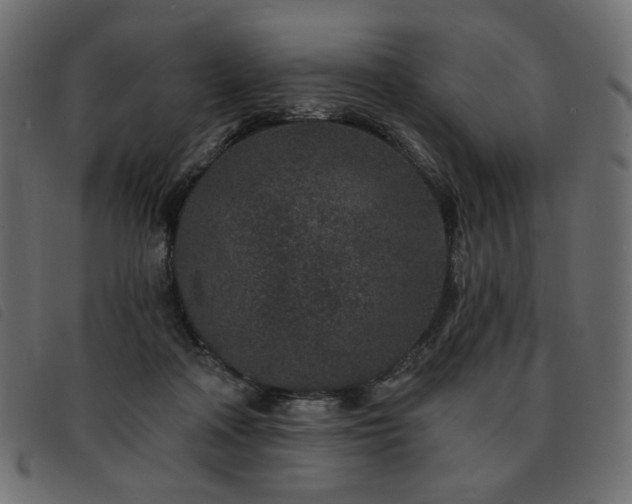 X0000093760314200710161228