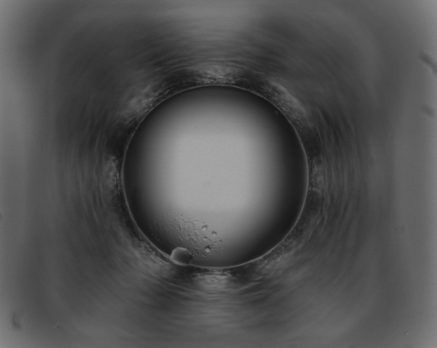 X0000093760318200710161228