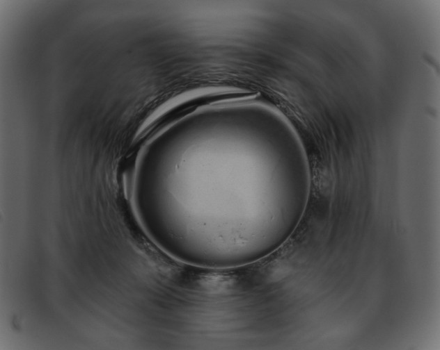 X0000093760319200710161228